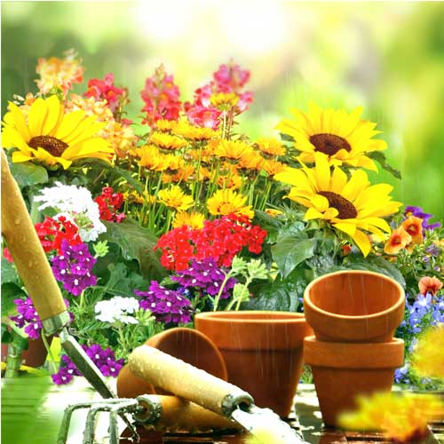 گلدان رنگی و ابزار باغبانی