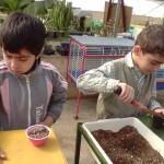 آموزش باغبانی به مدارس