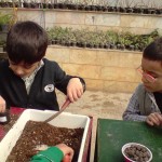 آموزش باغبانی به مدارس