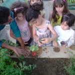 آموزش باغبانی به کودکان